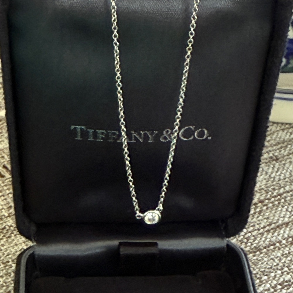 Tiffany & Co Platinum Diamond by the Yard Necklace
